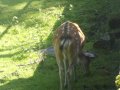 IMGP0785.JPG